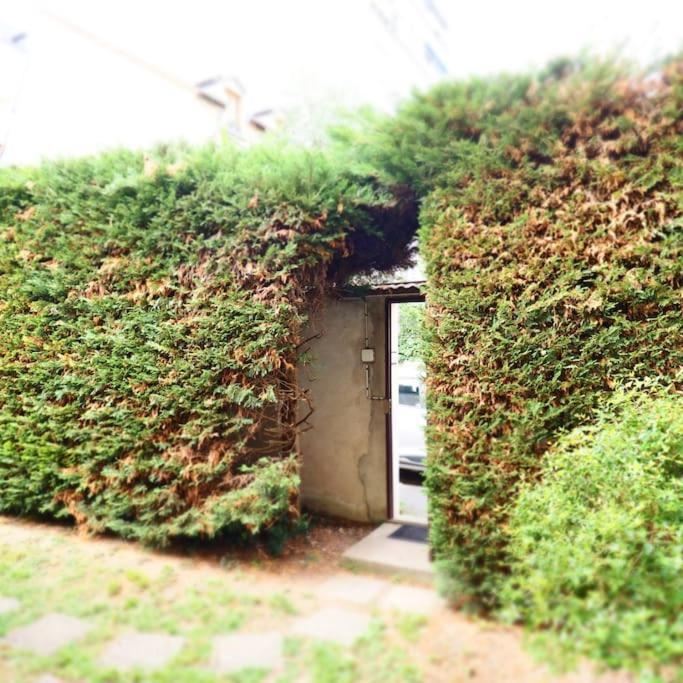 Maison Faure - Centre Ville - Jardin - Garage Vichy Extérieur photo
